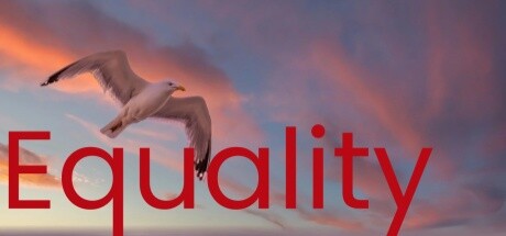Equality 封面