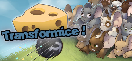 Transformice 封面